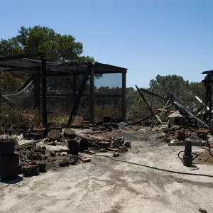 Horticulture Nursery after the Jesusita Fire