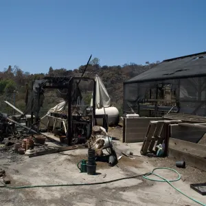 Horticulture Nursery after the Jesusita Fire