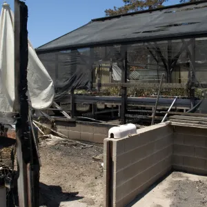 Horticulture Nursery area after the Jesusita Fire
