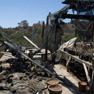burned Horticulture Nursery lath house after the Jesusita Fire