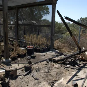 Horticulture Nursery after the Jesusita Fire