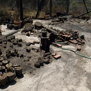 potted plants burned at the Horticulture Nursery, after the Jesusita Fire