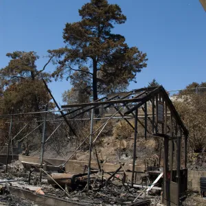 burned lath house after the Jesusita Fire