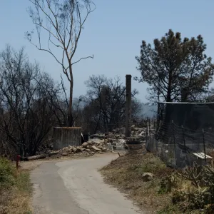 Gane House site, after the Jesusita Fire