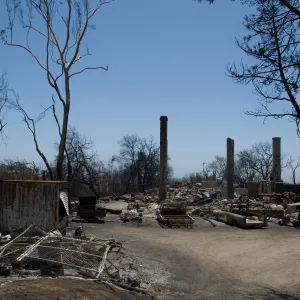 burned vehicles parked outside the Gane House, after the Jesusita Fire
