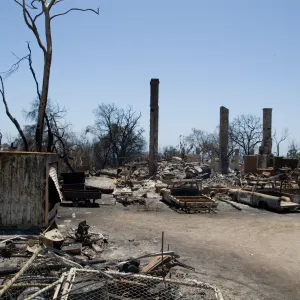 burned vehicles at the Gane House, after the Jesusita Fire