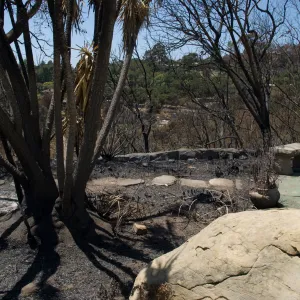 Gane House patio and gardens after the Jesusita Fire