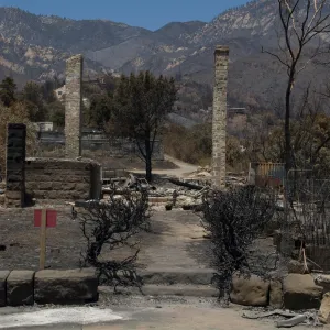 Gane House site, after the Jesusita Fire