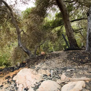 Home Deomnstarion Deck, after the Jesusita Fire