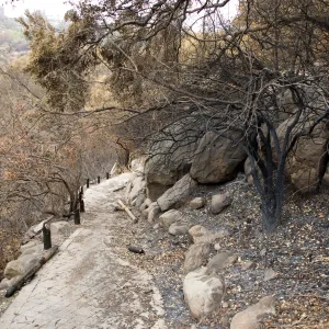 Campbell Trail, after the Jesusita Fire
