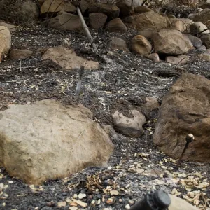 burned irrigation and melted plant tags, after the Jesusita Fire