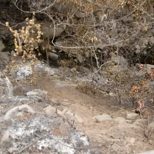 Mission Creek, after the Jesusita Fire