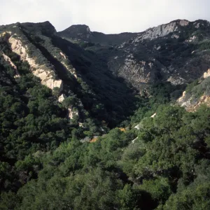 Arroyo Hondo reserve