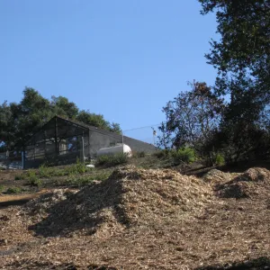 Last remaining shade house after Jesustia Fire