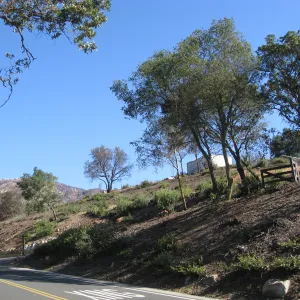 Clearing along Mission Canyon Rd after Jesusita Fire