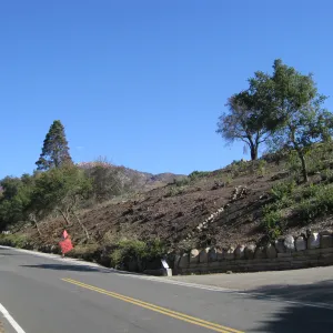 Clearing along Mission Canyon Rd after Jesusita Fire