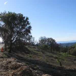 Clearing after Jesusita Fire