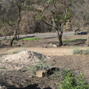 Clearing after Jesusita Fire