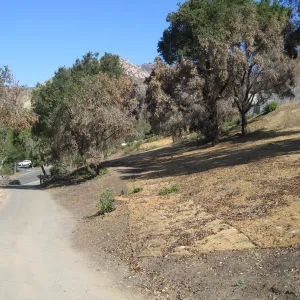 Clearing along drive to Hort unit after Jesusita Fire