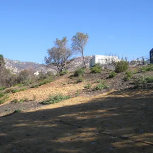 Clearing in Cypress Section after Jesusita Fire