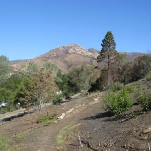 Clearing along Mission Canyon Rd after Jesusita Fire