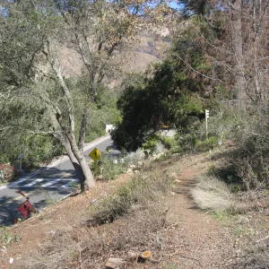 Clearing along Mission Canyon Rd after Jesusita Fire