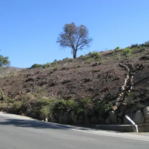 Drainage canal exposed by fire clearing, Mission Canyon Rd
