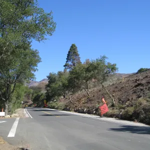 Clearing along Mission Canyon Rd, at parking lot exit