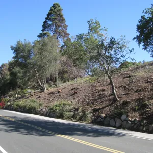 Clearing along Mission Canyon Rd after Jesusita Fire