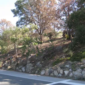 Clearing along Mission Canyon Rd after Jesusita Fire