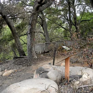 Site of the Home Demonstration Garden deck destroyed by the Jesusita Fire