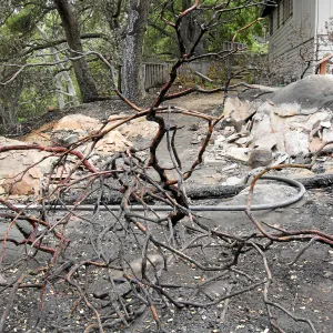 Site of the Home Demonstration Garden deck destroyed by the Jesusita Fire