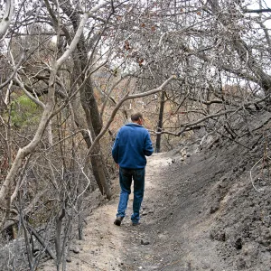 Santa Barbara Botanic Garden after the Jesusita Fire