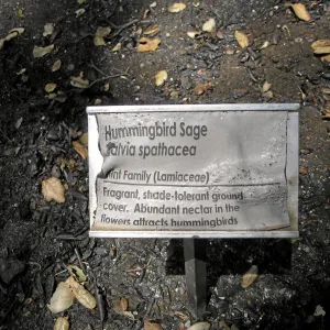 Melted Public Info Sign, Home Demonstration Garden