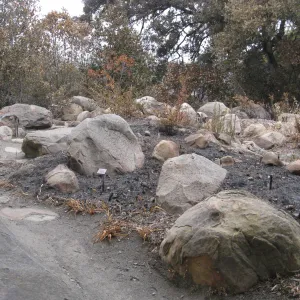 Brook display after the Jesusita Fire