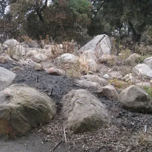 Brook display after the Jesusita Fire