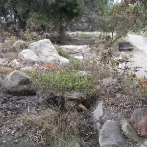 Brook display after the Jesusita Fire