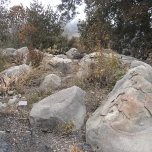 Brook display after the Jesusita Fire