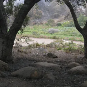 Looking east across terrace to the Meadow after the Jesusita Fire
