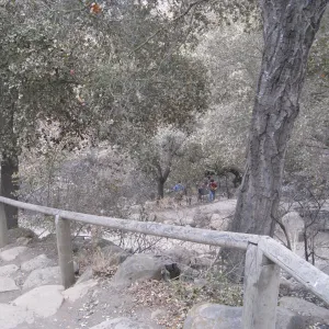 Campbell Trail after the Jesusita Fire