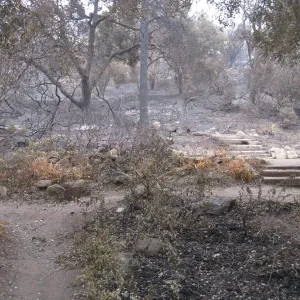 Meadow View after the Jesusita Fire
