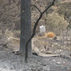 Meadow View display after the Jesusita Fire