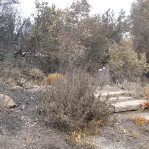 Meadow View upper steps after the Jesusita Fire