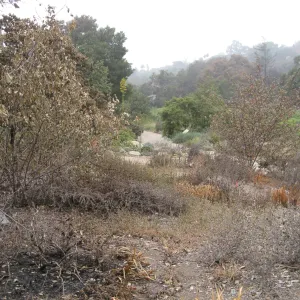 Meadow View after the Jesusita Fire showing irrigation controller