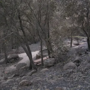 View from top of Campbell Trail to the picnic area after the Jesusita Fire