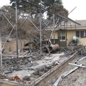 Horticulture Unit after the Jesusita Fire