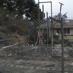 Santa Barbara Botanic Garden after the Jesusita Fire