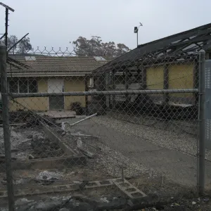 Santa Barbara Botanic Garden after the Jesusita Fire