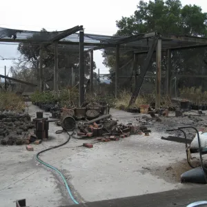 Santa Barbara Botanic Garden after the Jesusita Fire