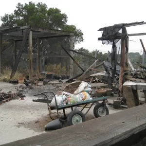 Santa Barbara Botanic Garden after the Jesusita Fire